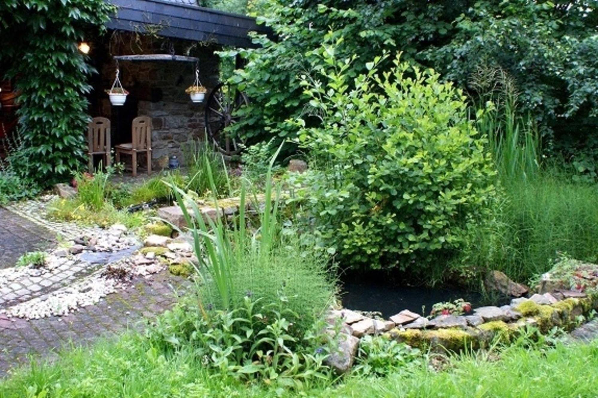 Apartmán Haus "Zwischen Den Waeldern" Allenbach Exteriér fotografie